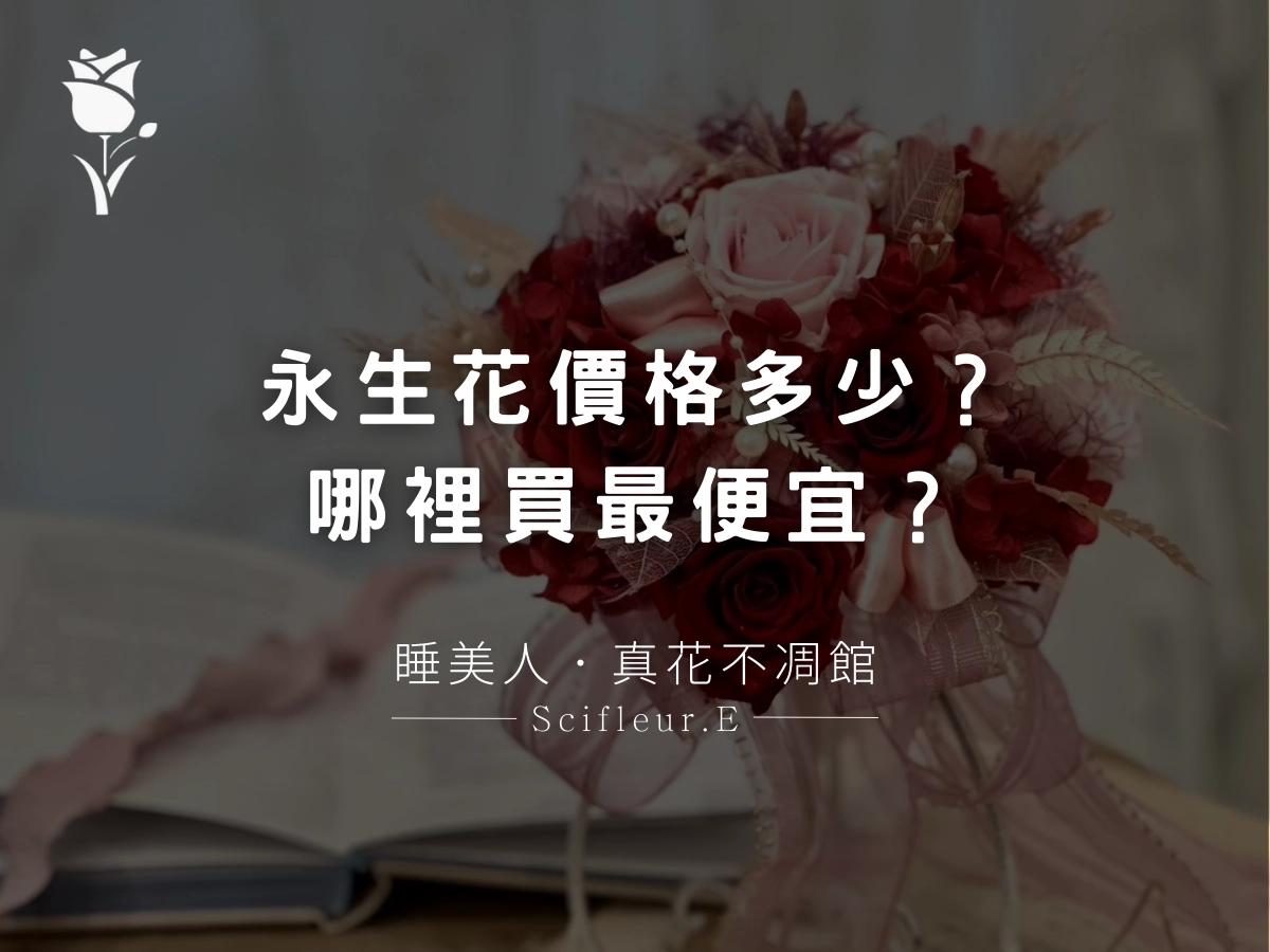 永生花價格多少？怎麼挑？哪裡買最便宜？預算有限也能買到質感！