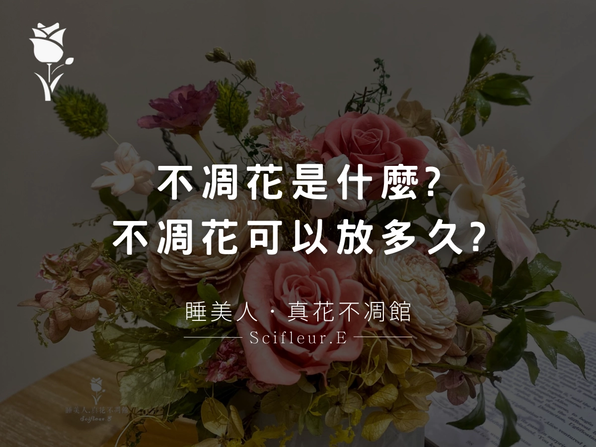 不凋花