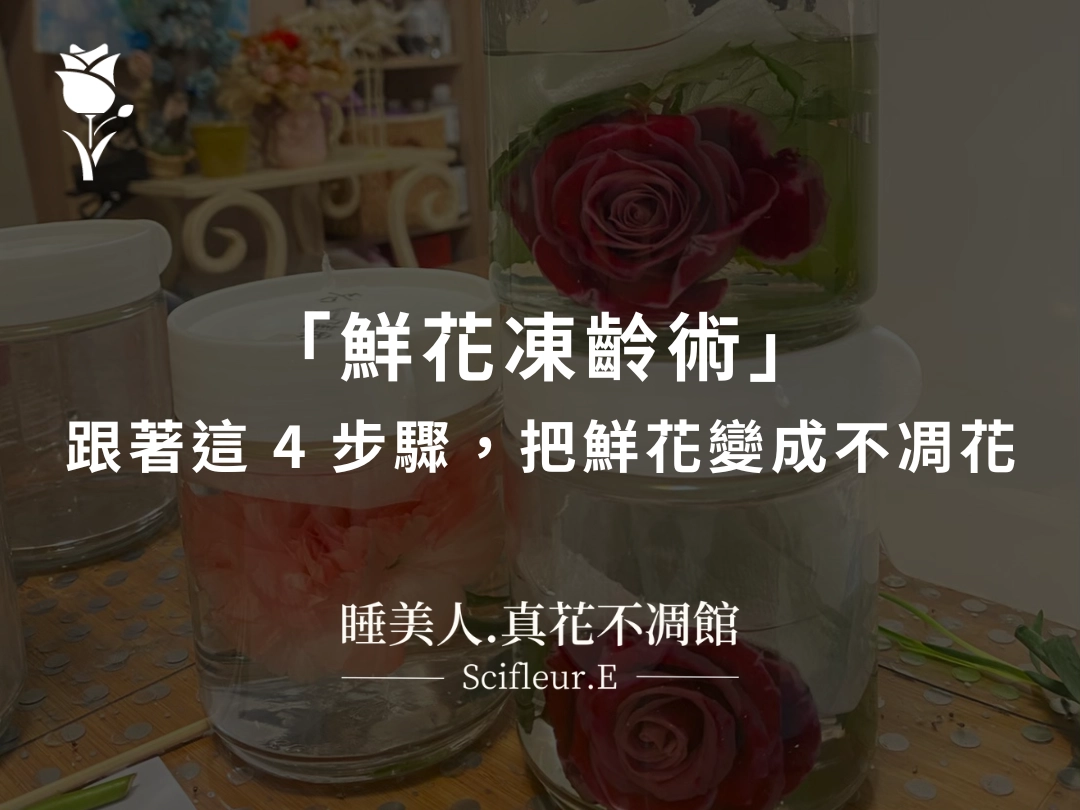 永生花怎麼做？KINA 老師公開「鮮花凍齡術」：跟著這 4 步驟，把鮮花變成不凋花