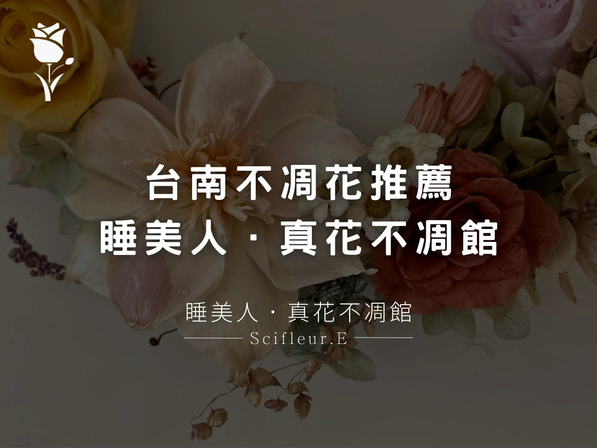 不凋花,台南花店,永生花