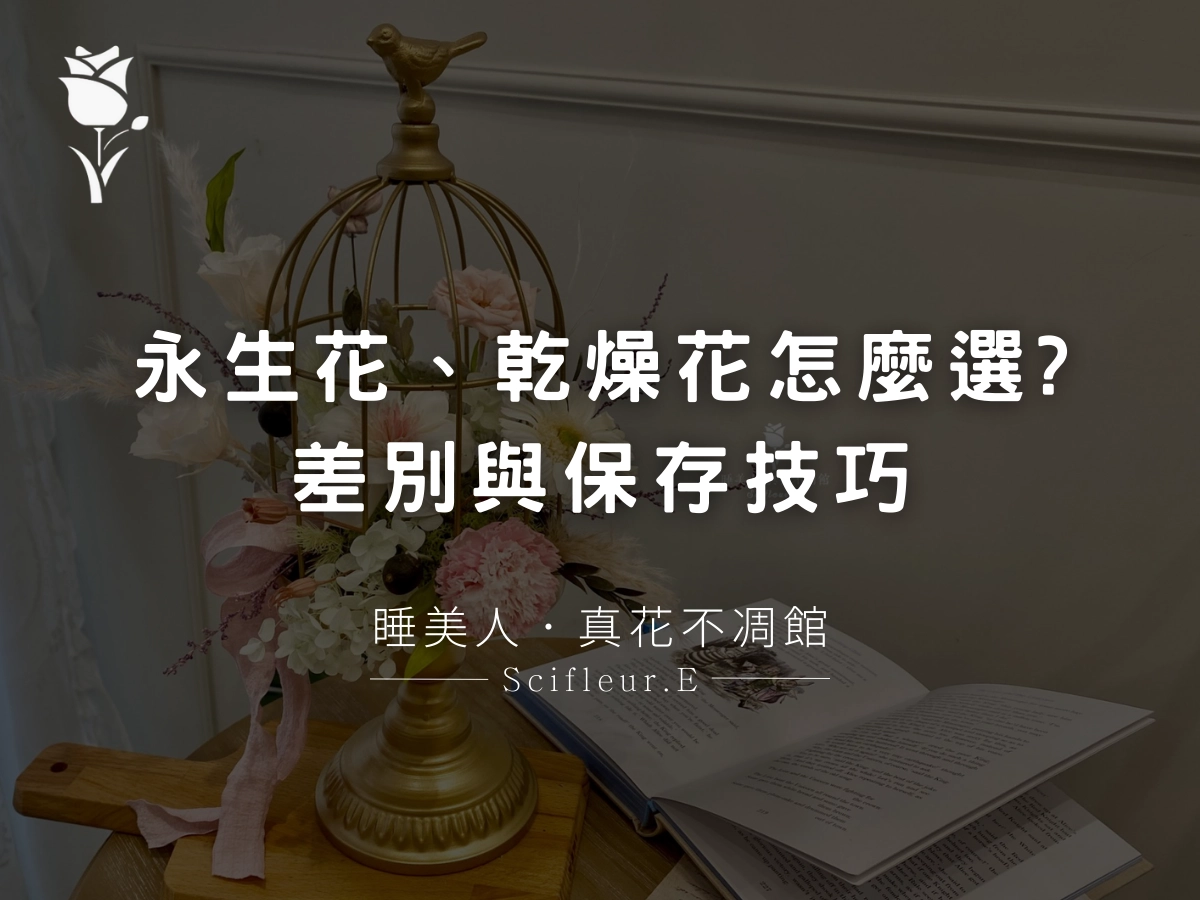 永生花、乾燥花怎麼選？從小白到內行，必懂差別、挑法與保存技巧！