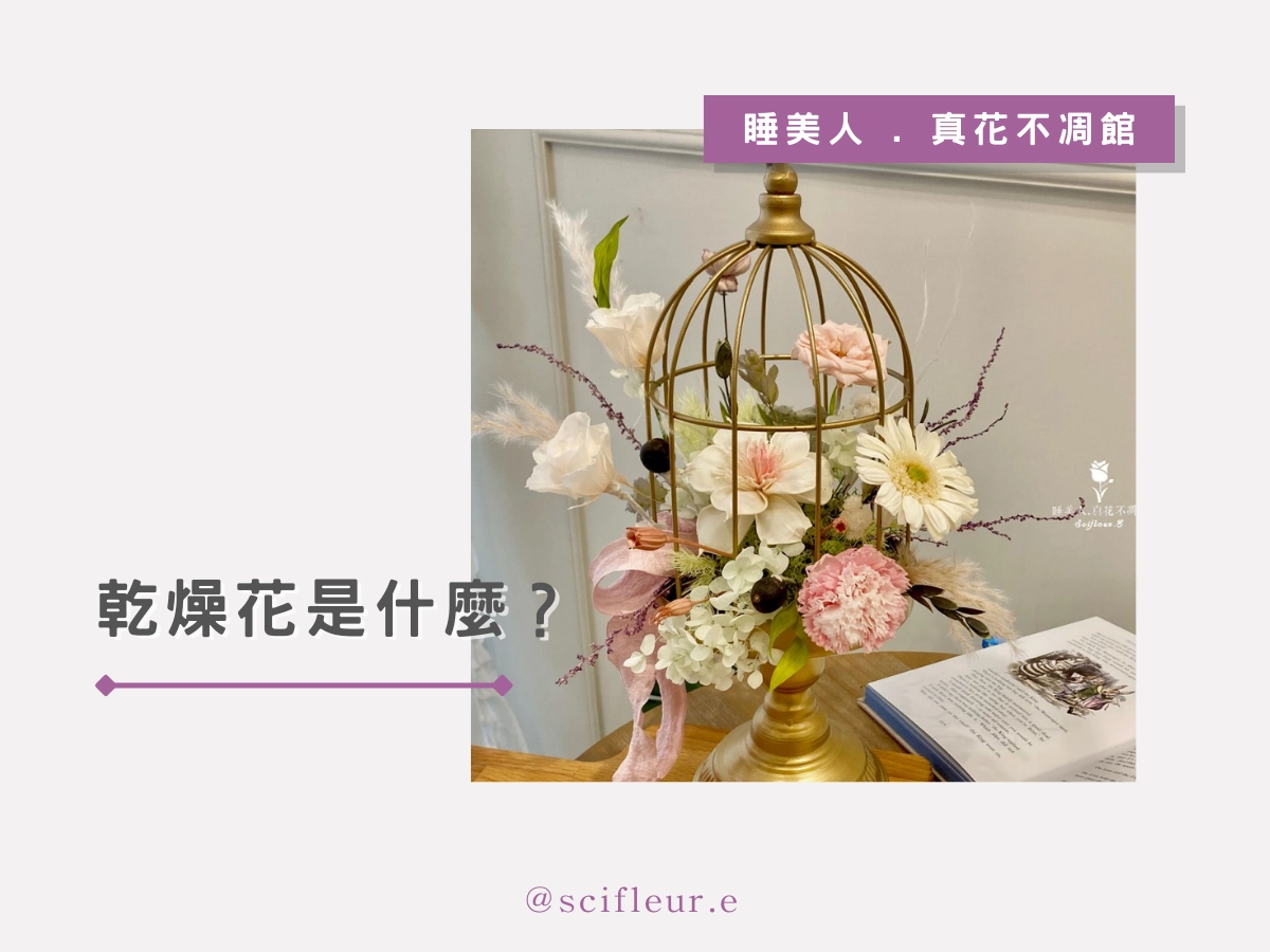 乾燥花是什麼?