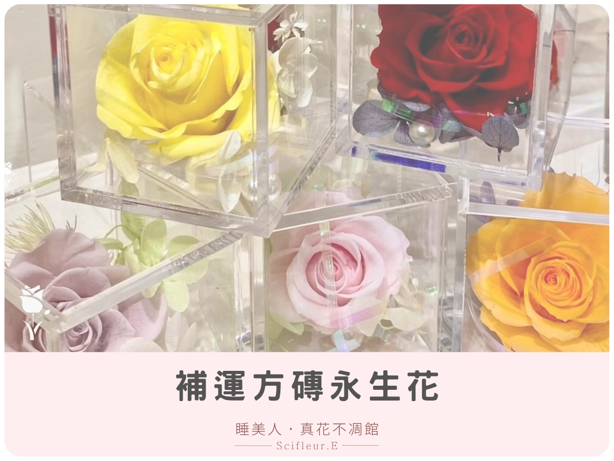 補運方磚永生花 NT$520