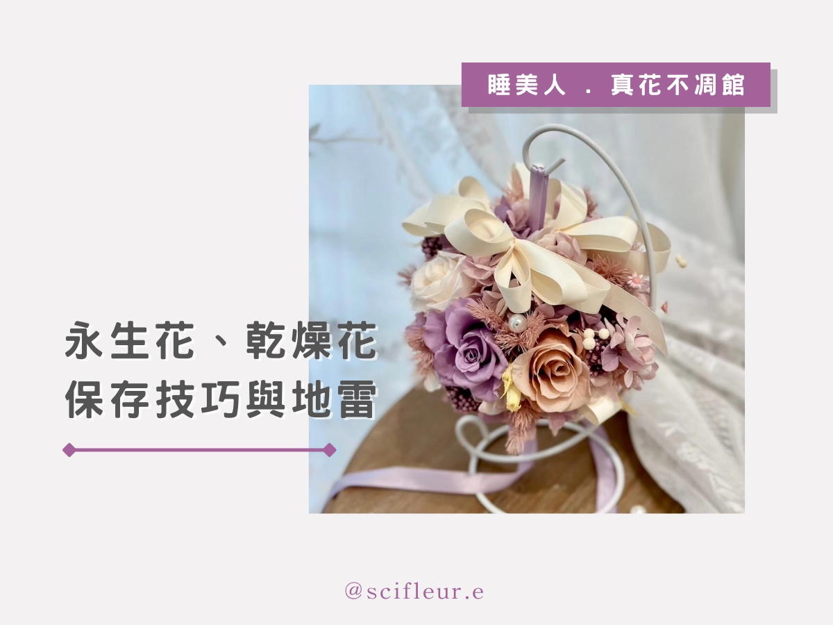 花放久了會壞?永生花與乾燥花保存技巧與地雷