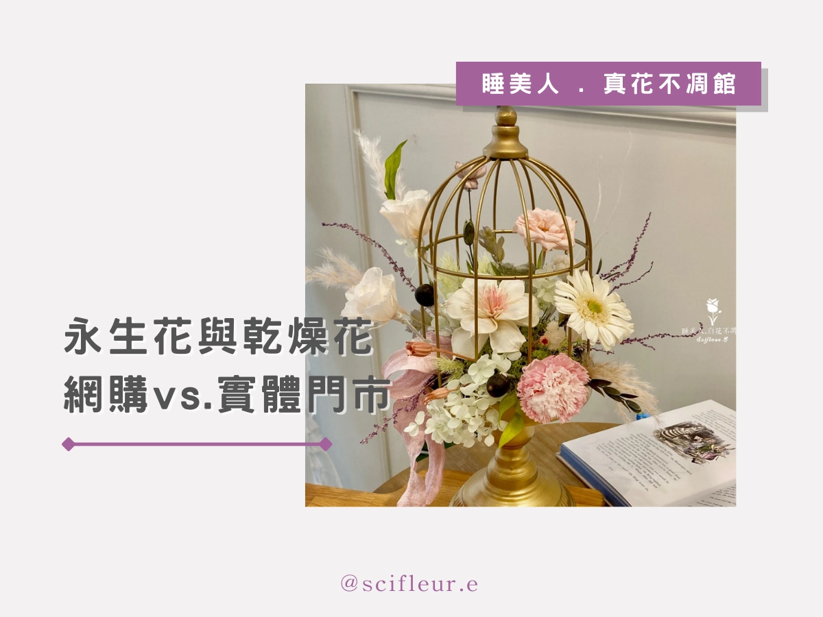 永生花、乾燥花去哪裡買?網購 vs 實體怎麼選才不踩雷