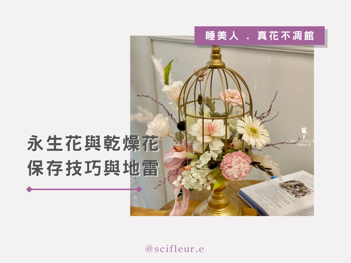 花放久了會壞?永生花與乾燥花保存技巧與地雷