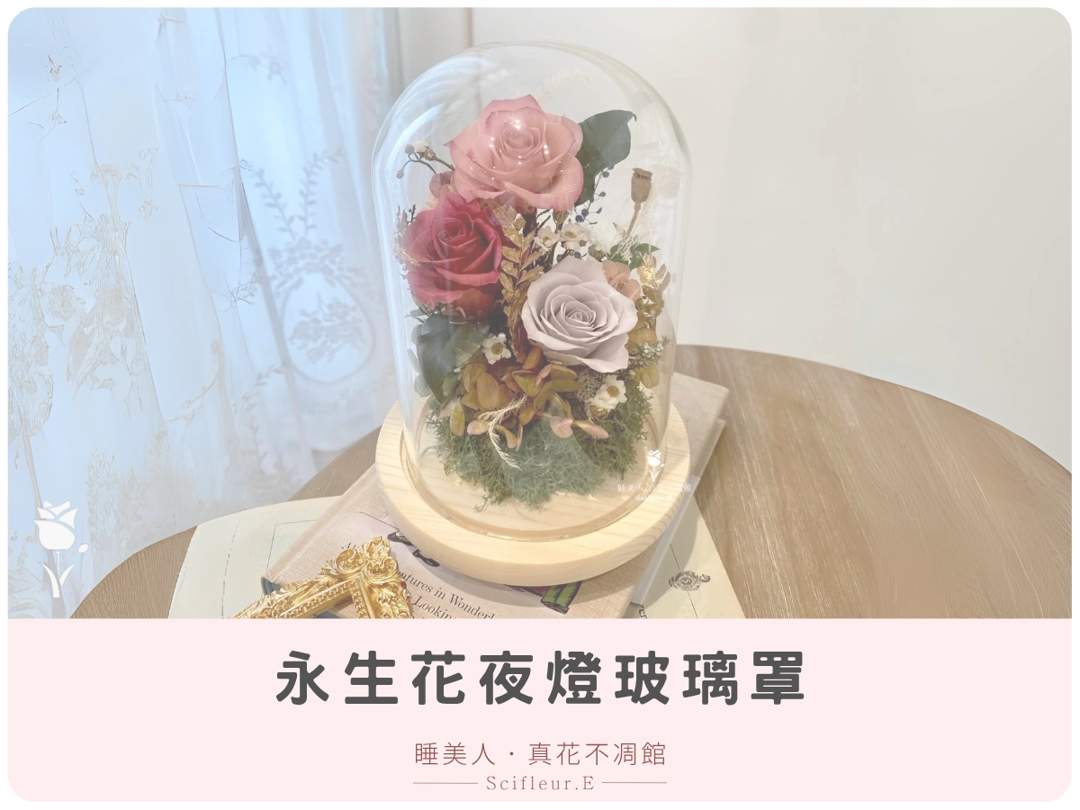 永生花夜燈玻璃罩 NT$2870 ~ $2990