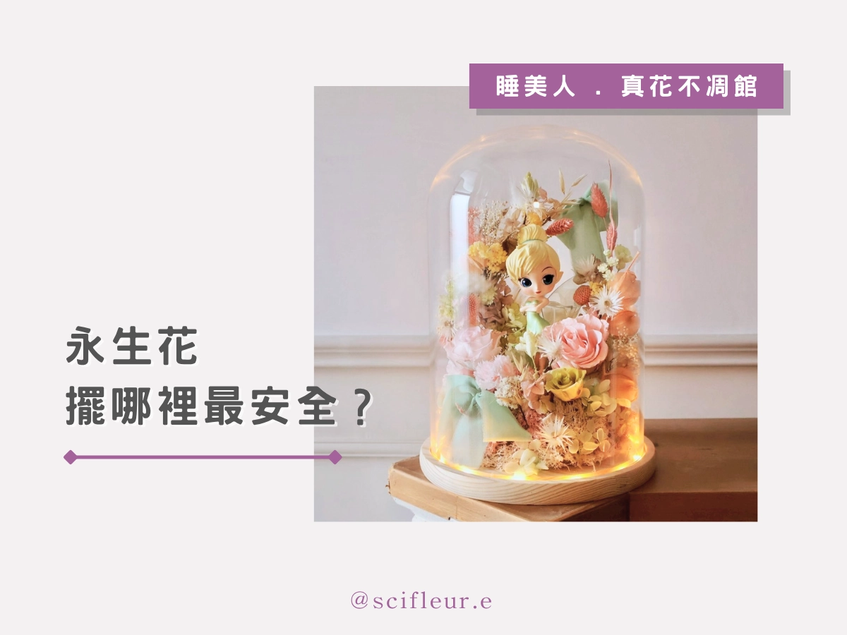 永生花擺哪裡最安全?