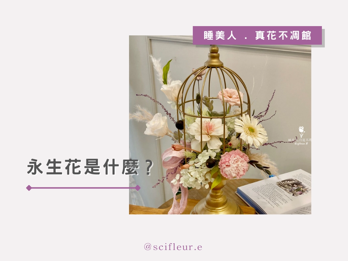 永生花是什麼?