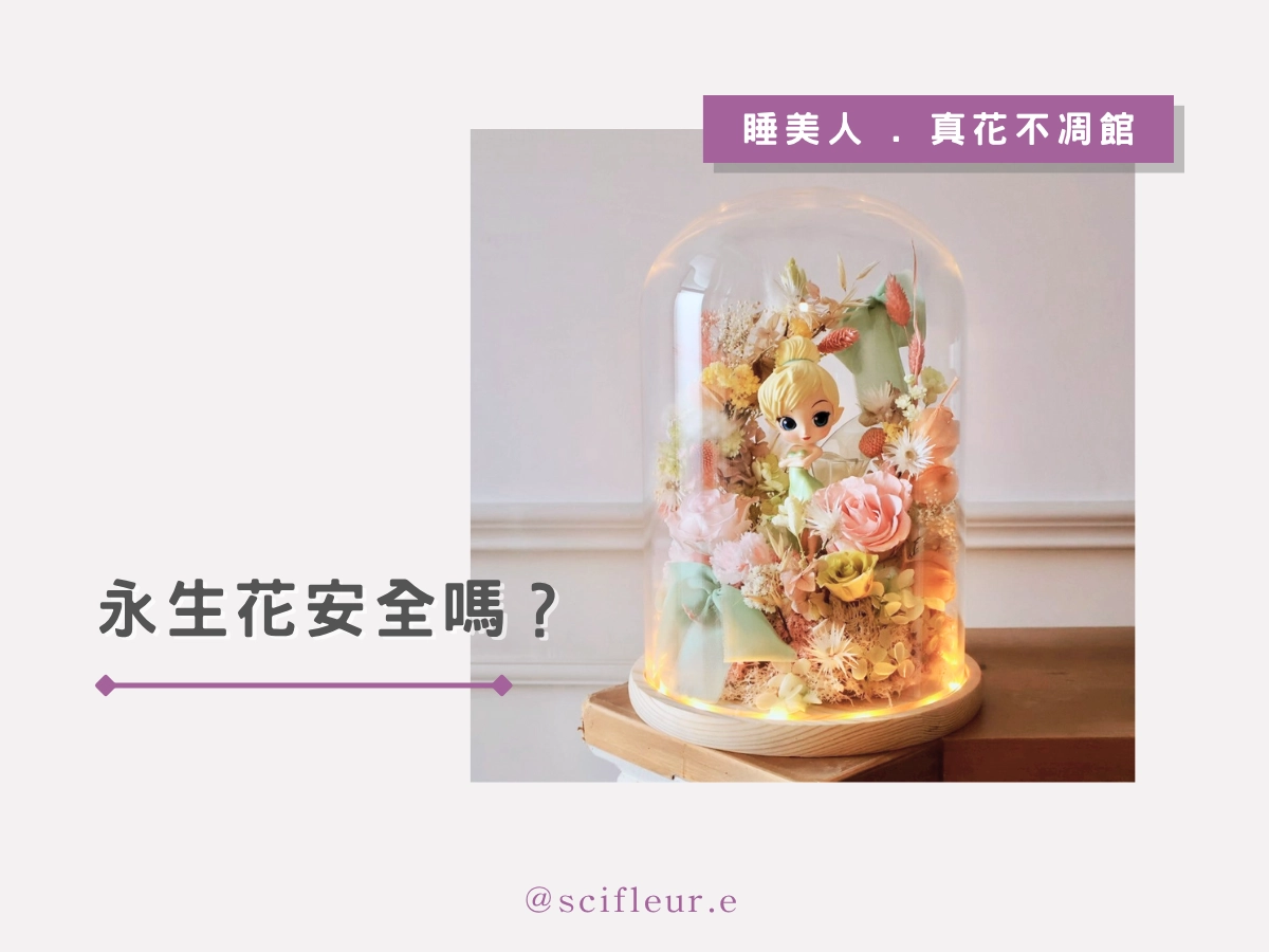 永生花安全嗎?適合家中有寵物或小孩的人嗎?