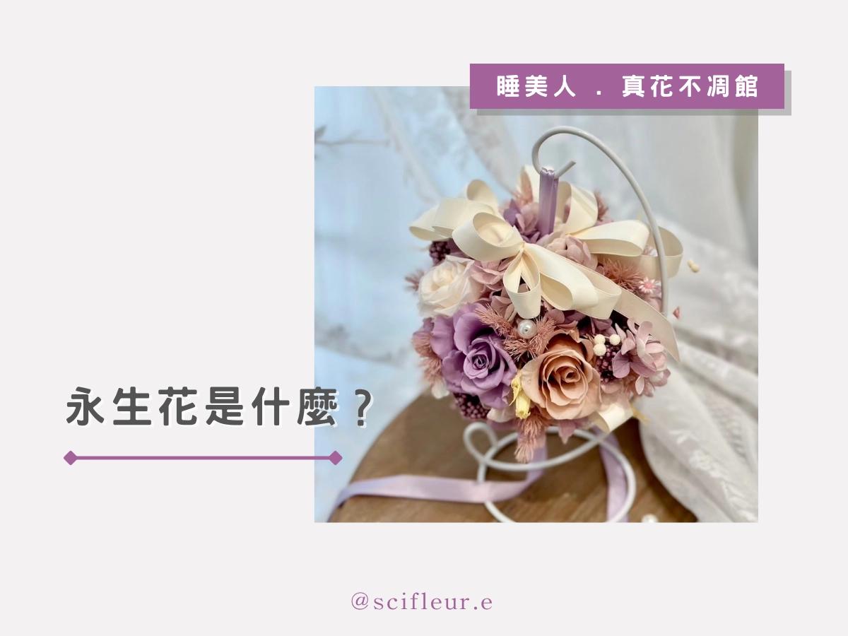 永生花是什麼?