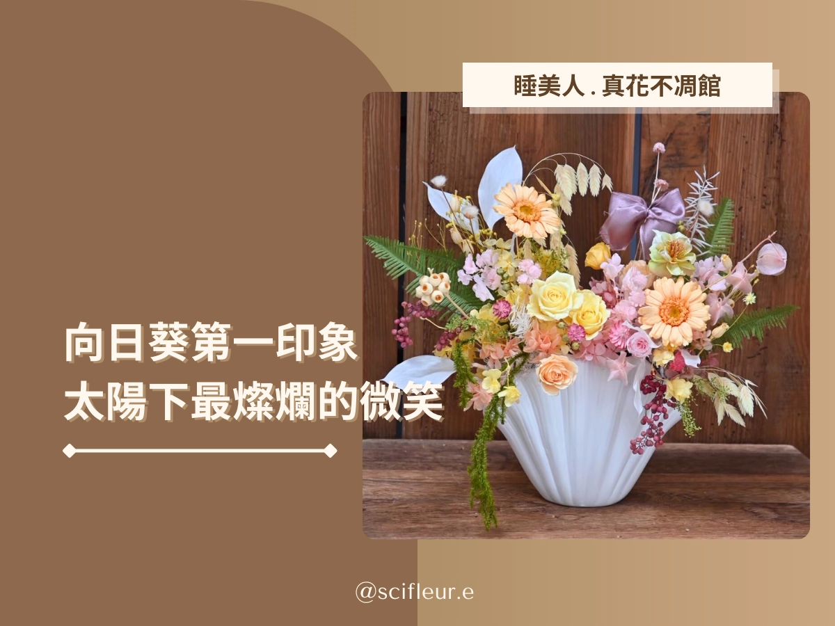 向日葵的第一印象:太陽下最燦爛的微笑