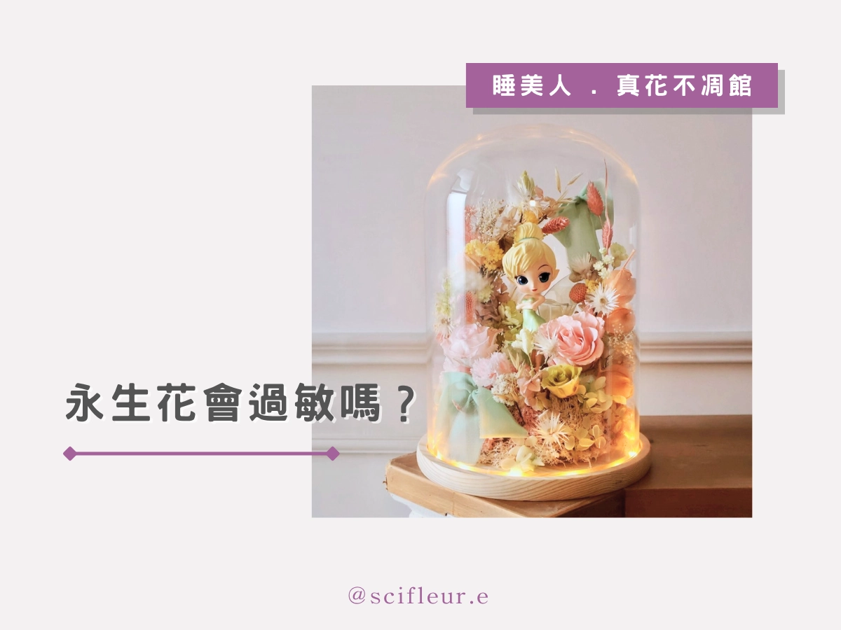 永生花會不會引起過敏?