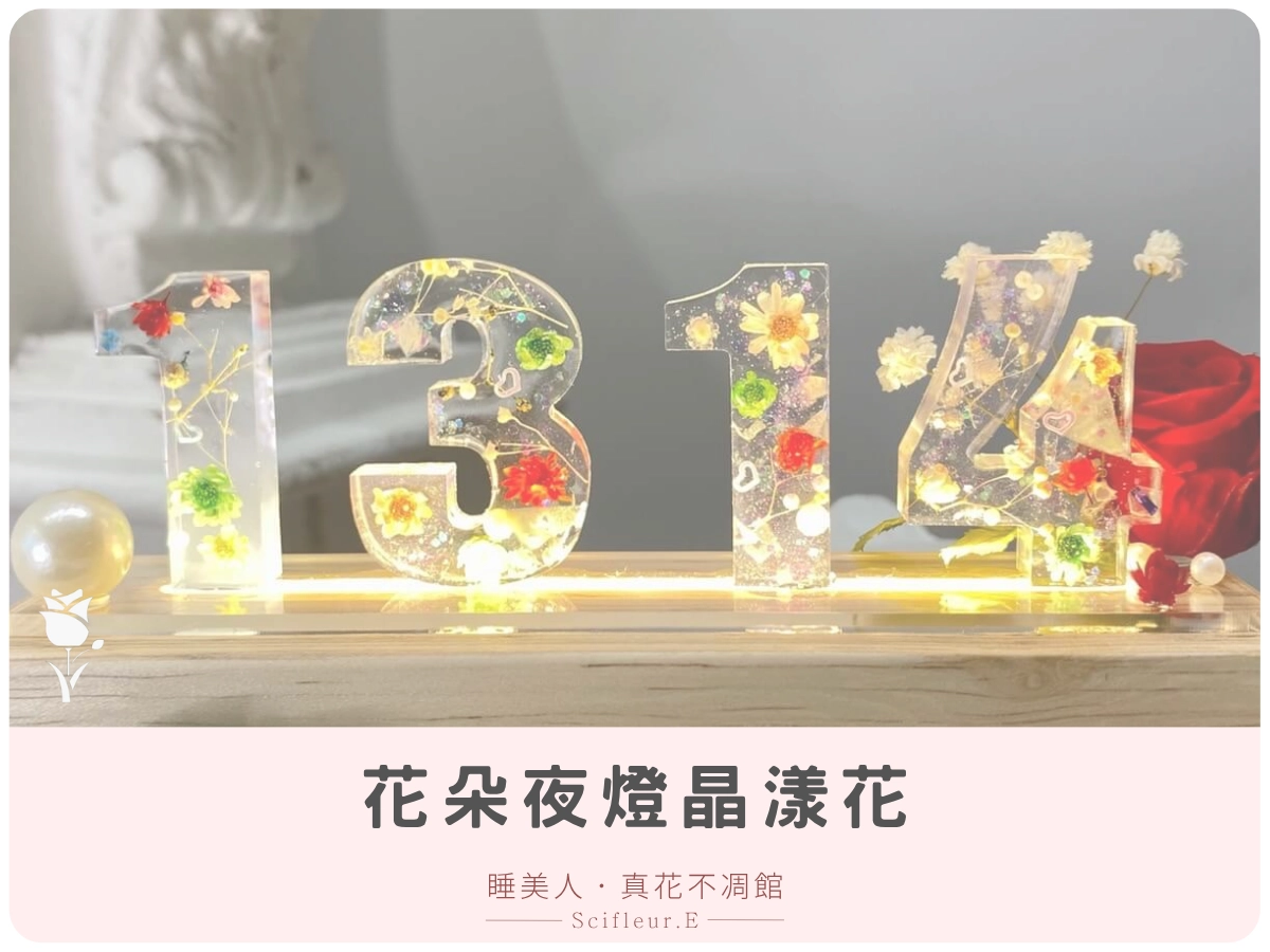 花朵夜燈晶漾花 NT$1300