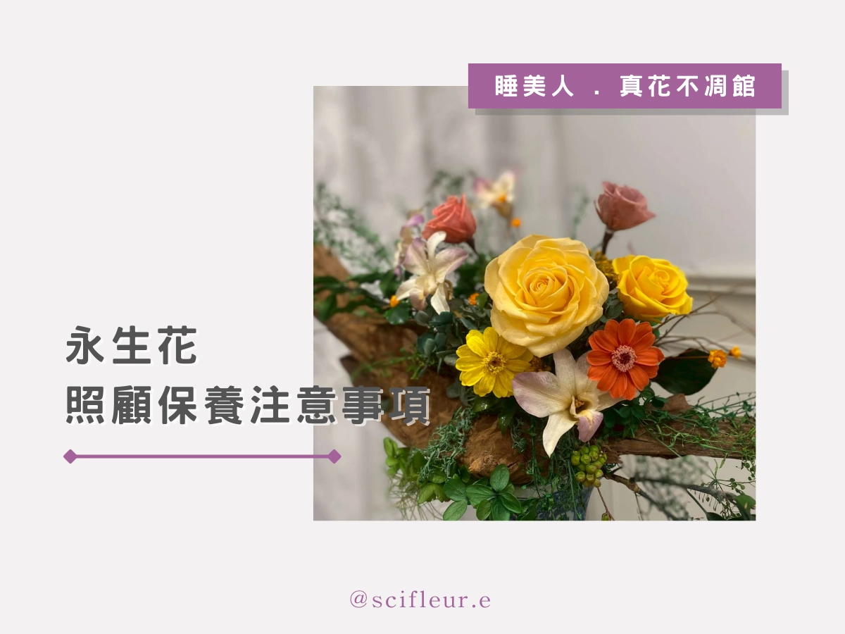 永生花照顧保養要注意哪些事?