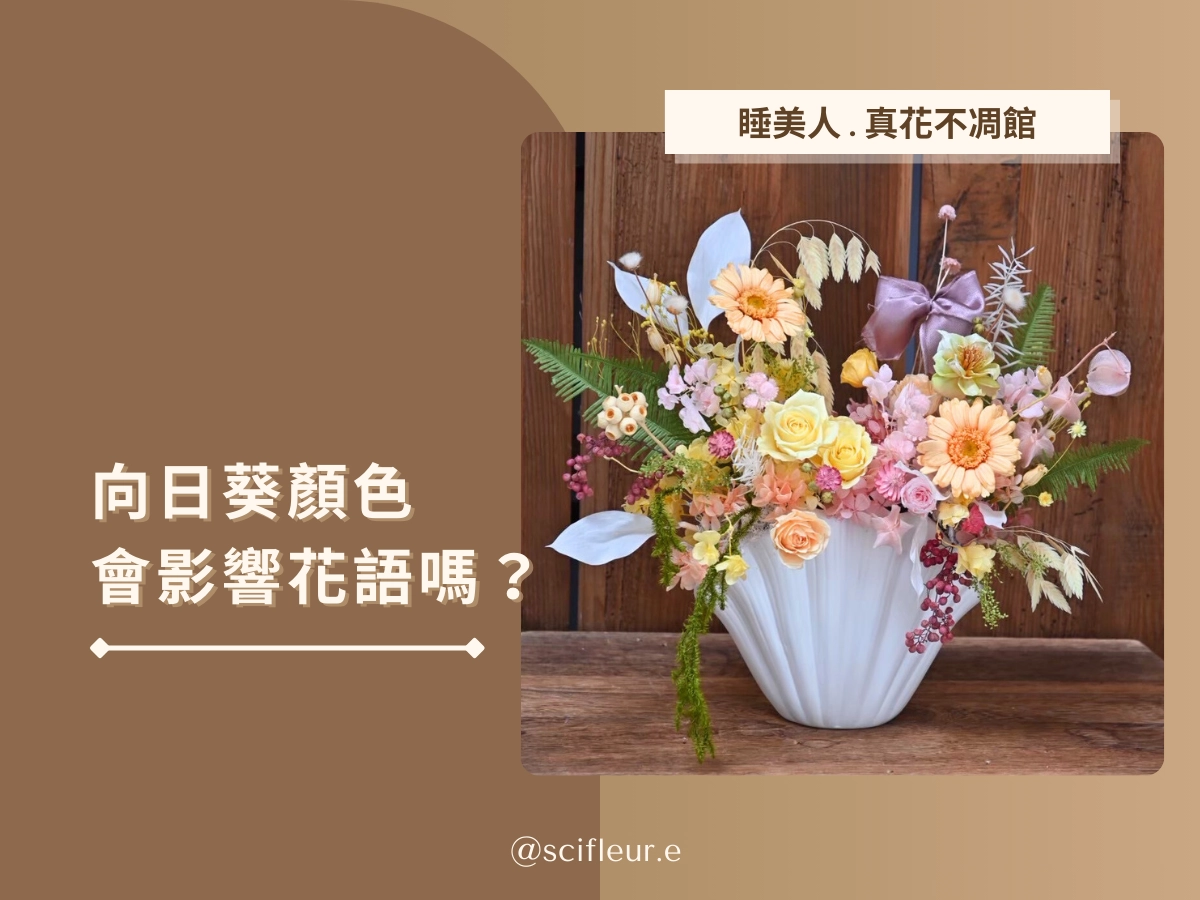 向日葵的顏色會影響花語嗎?
