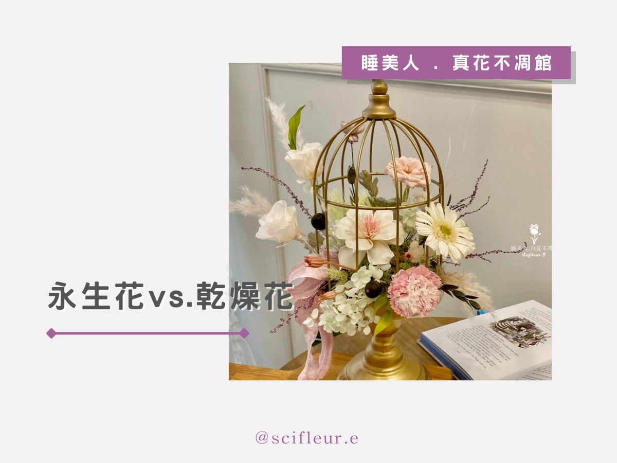 永生花和乾燥花差在哪裡?