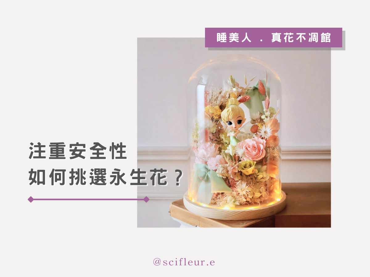注重安全性,如何挑選永生花?