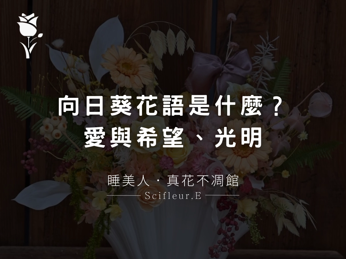 向日葵花語是什麼？愛、希望與光明的美麗象徵