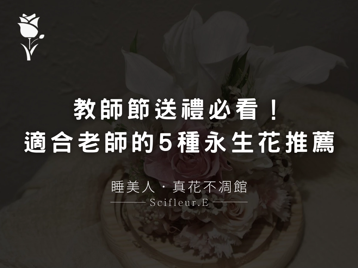 教師節送禮必看！最適合老師的5種永生花推薦