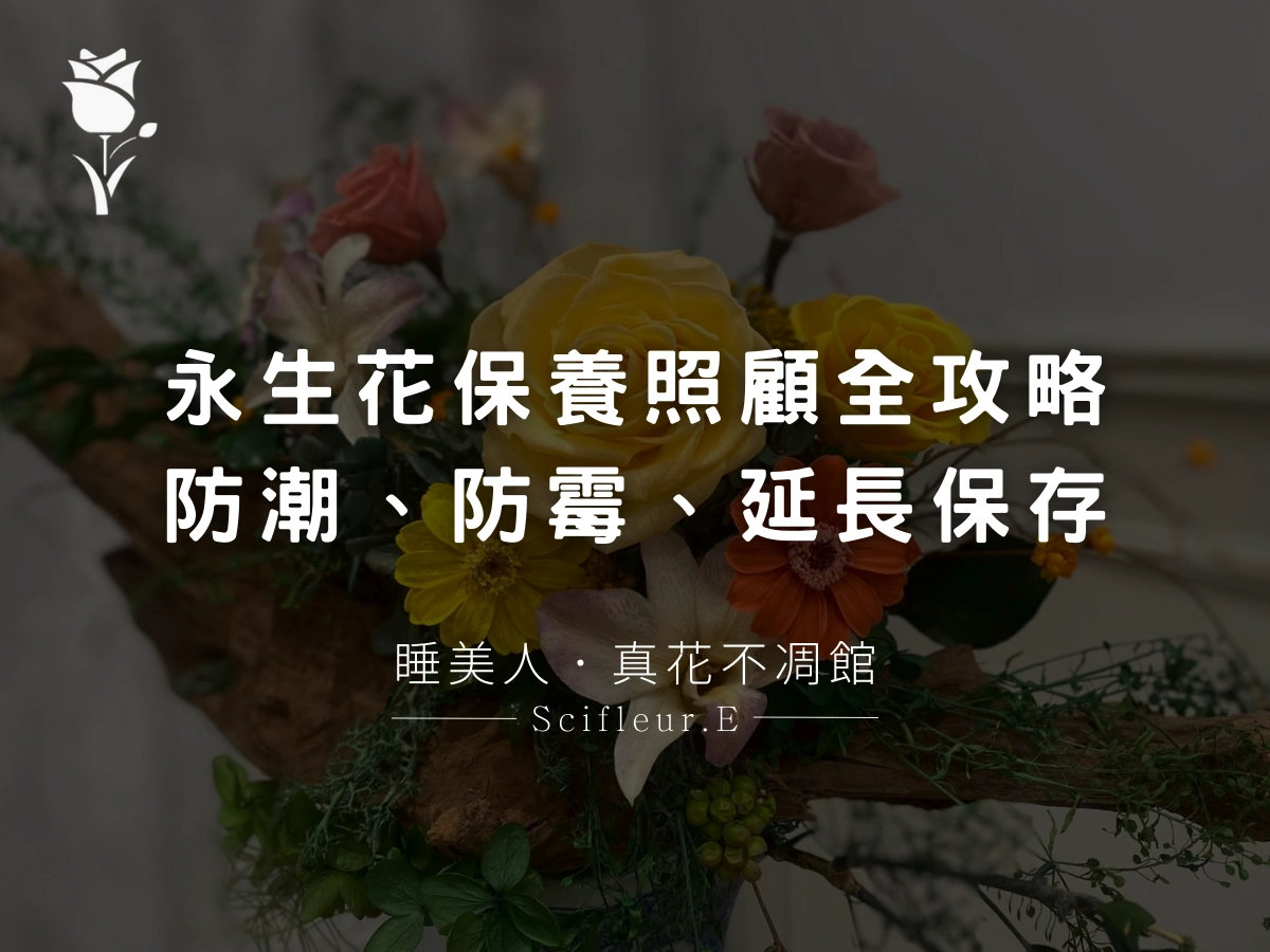 永生花照顧保養全攻略：防潮、防發霉、延長保存期一次搞定
